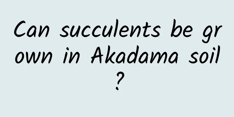 Can succulents be grown in Akadama soil?
