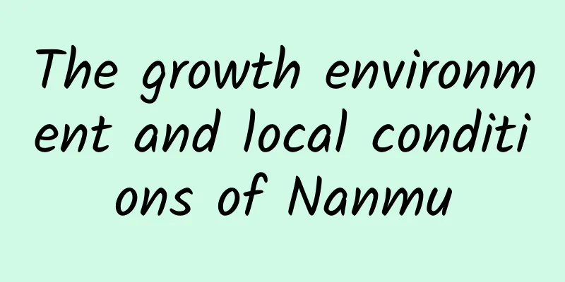 The growth environment and local conditions of Nanmu