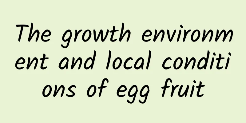 The growth environment and local conditions of egg fruit