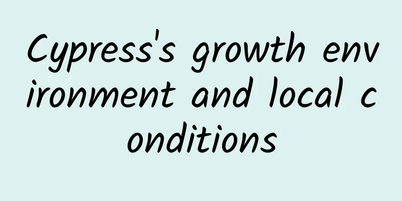 Cypress's growth environment and local conditions