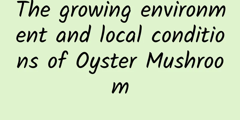 The growing environment and local conditions of Oyster Mushroom
