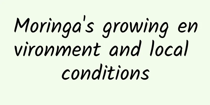 Moringa's growing environment and local conditions