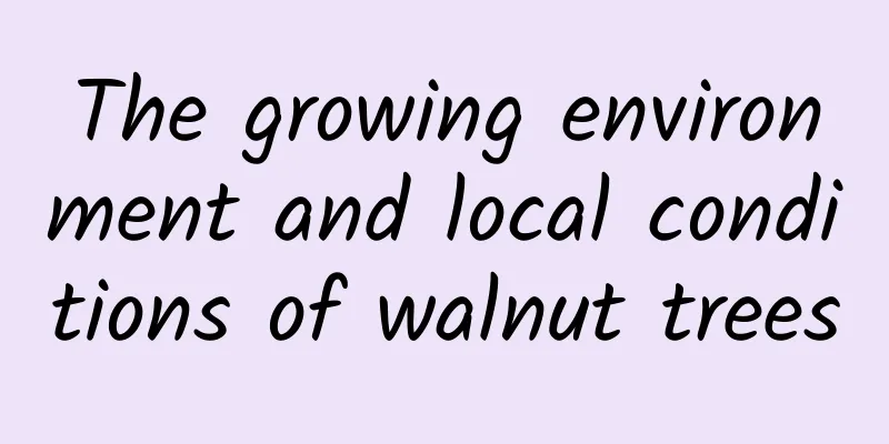 The growing environment and local conditions of walnut trees