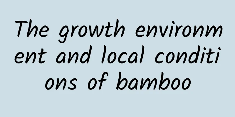 The growth environment and local conditions of bamboo