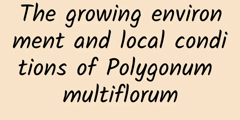 The growing environment and local conditions of Polygonum multiflorum