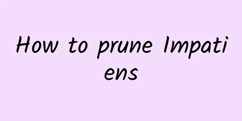How to prune Impatiens
