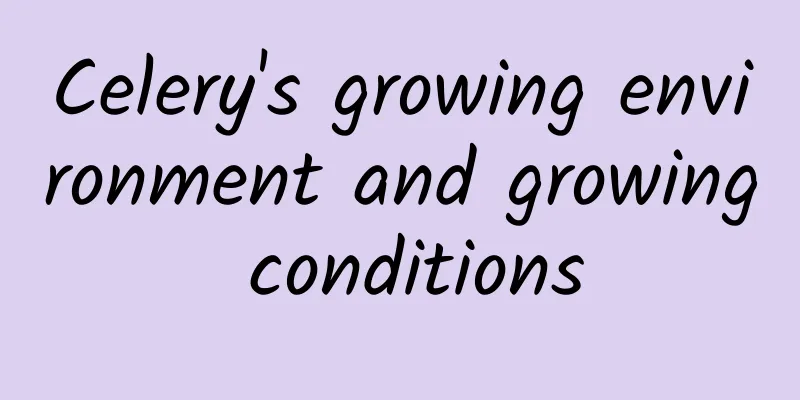 Celery's growing environment and growing conditions