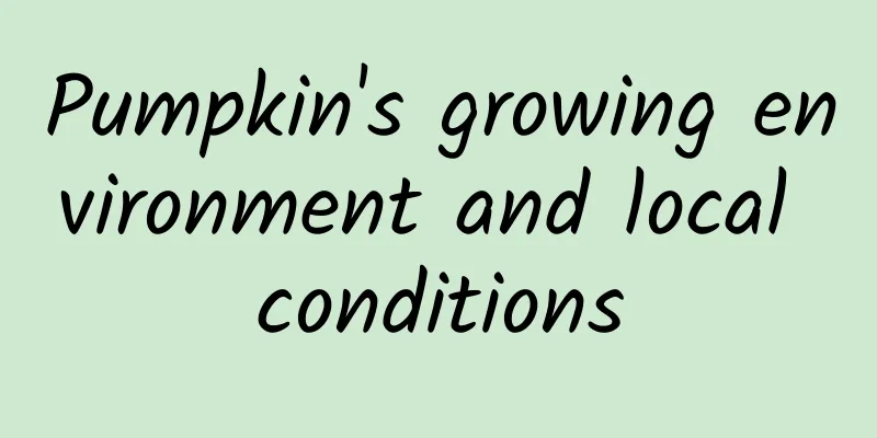 Pumpkin's growing environment and local conditions