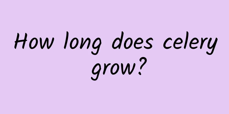 How long does celery grow?