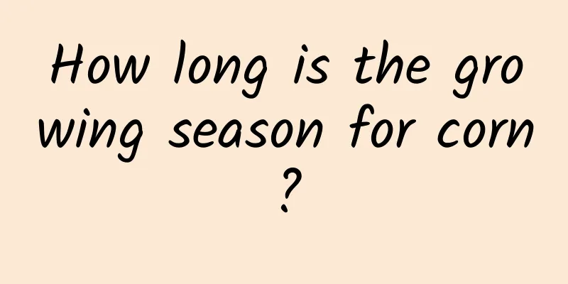How long is the growing season for corn?