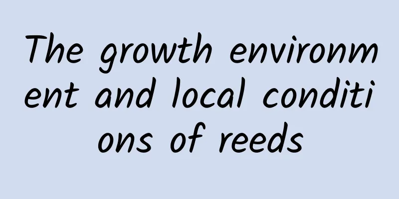 The growth environment and local conditions of reeds