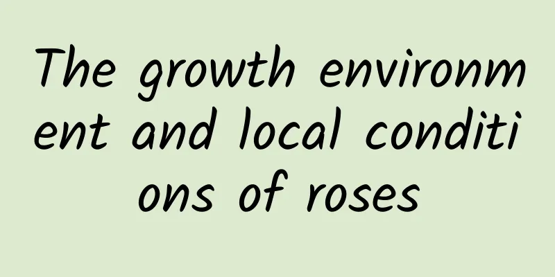 The growth environment and local conditions of roses
