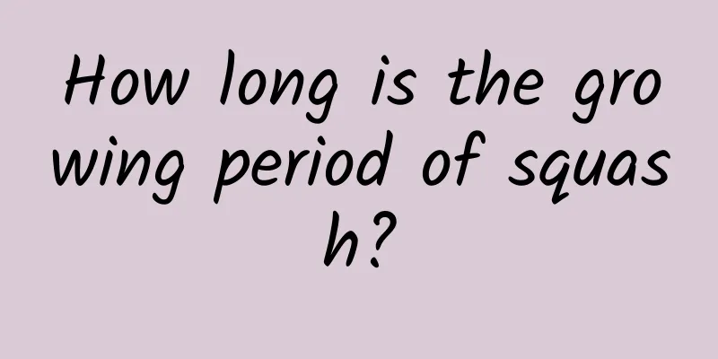 How long is the growing period of squash?