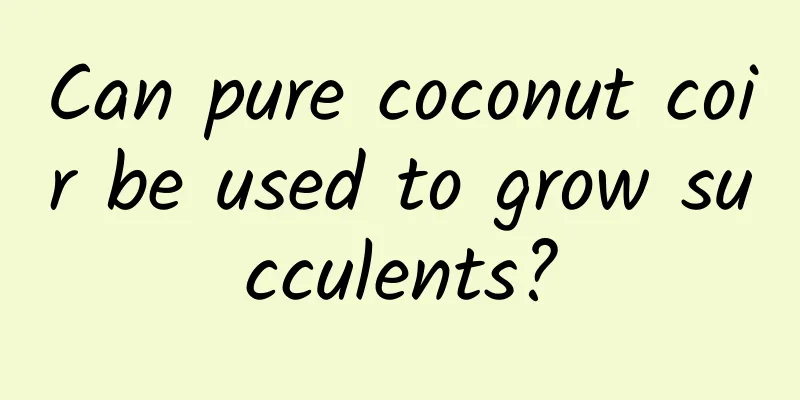 Can pure coconut coir be used to grow succulents?