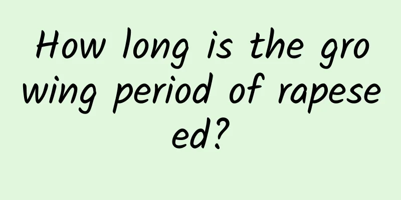 How long is the growing period of rapeseed?