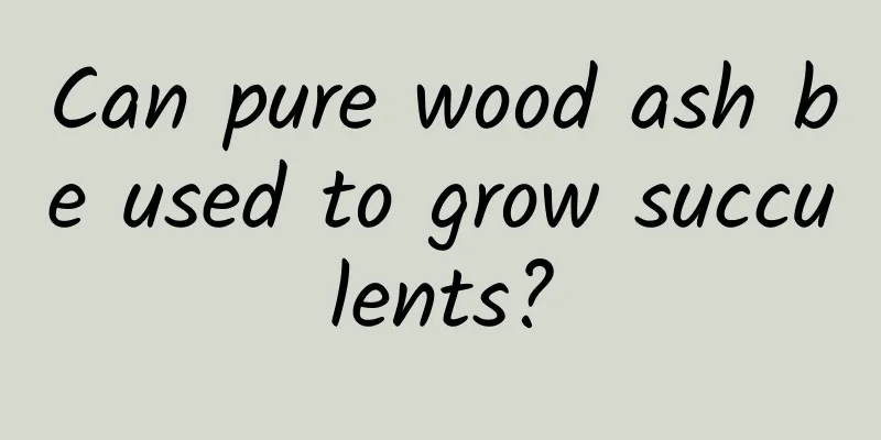 Can pure wood ash be used to grow succulents?