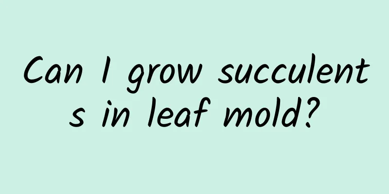 Can I grow succulents in leaf mold?