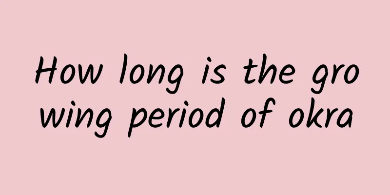 How long is the growing period of okra