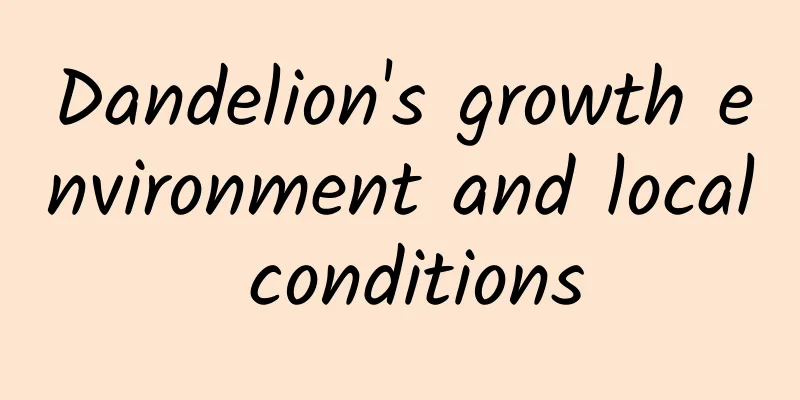 Dandelion's growth environment and local conditions