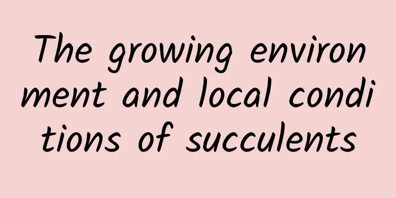 The growing environment and local conditions of succulents