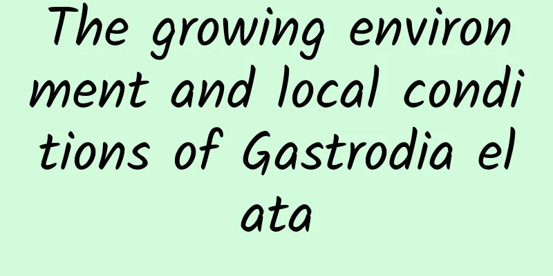 The growing environment and local conditions of Gastrodia elata