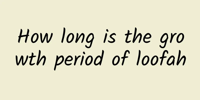 How long is the growth period of loofah