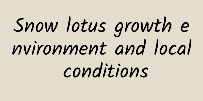 Snow lotus growth environment and local conditions