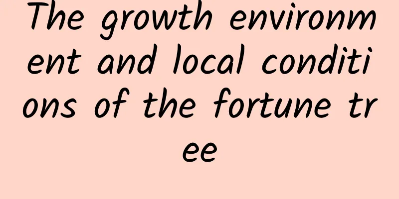 The growth environment and local conditions of the fortune tree