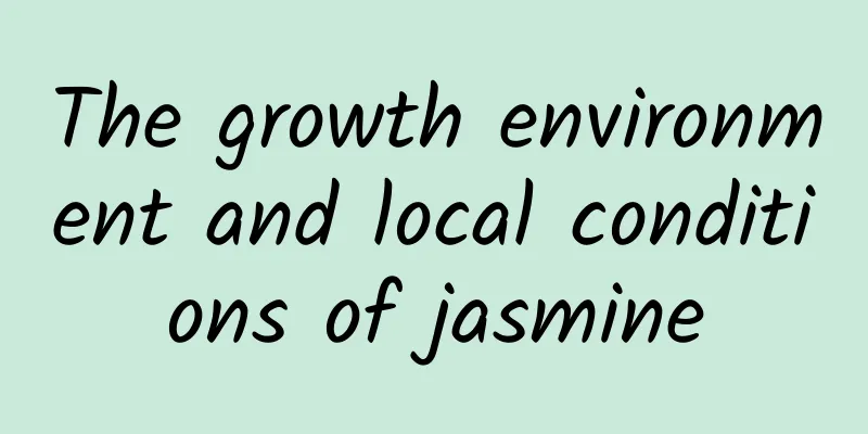 The growth environment and local conditions of jasmine