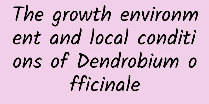 The growth environment and local conditions of Dendrobium officinale