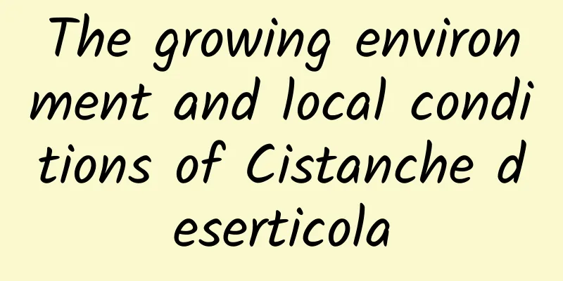 The growing environment and local conditions of Cistanche deserticola