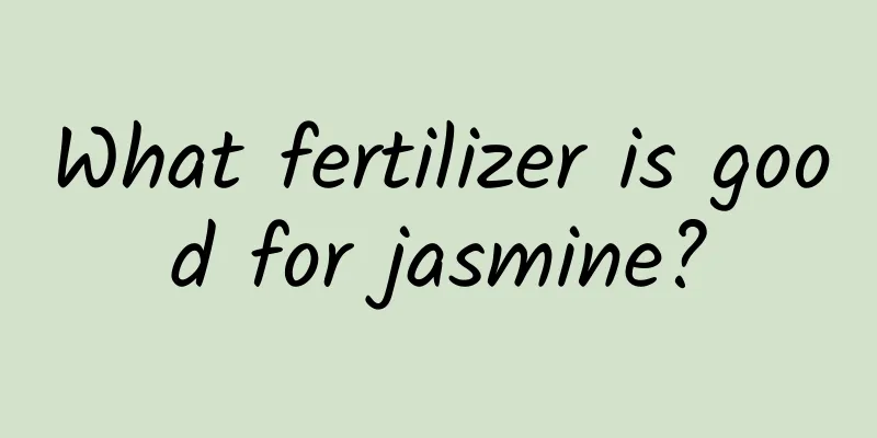 What fertilizer is good for jasmine?
