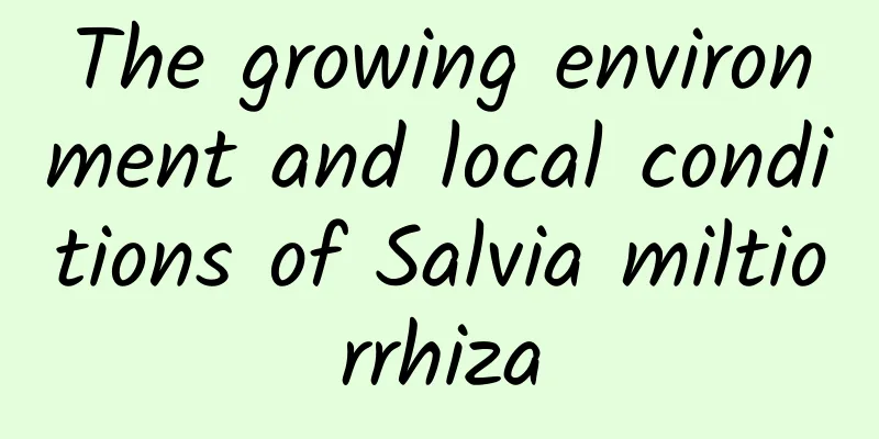 The growing environment and local conditions of Salvia miltiorrhiza