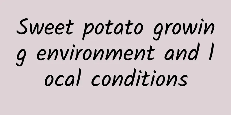 Sweet potato growing environment and local conditions