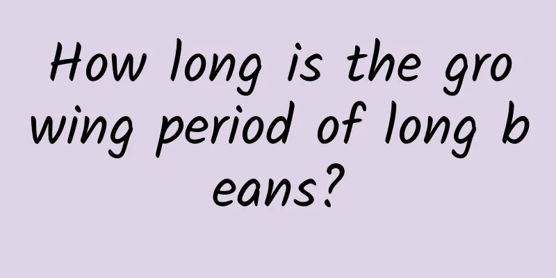 How long is the growing period of long beans?