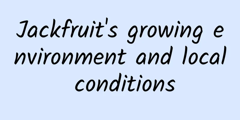 Jackfruit's growing environment and local conditions