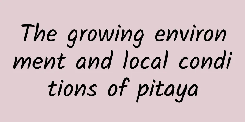 The growing environment and local conditions of pitaya