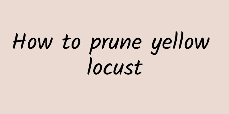 How to prune yellow locust