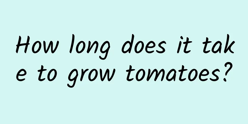 How long does it take to grow tomatoes?