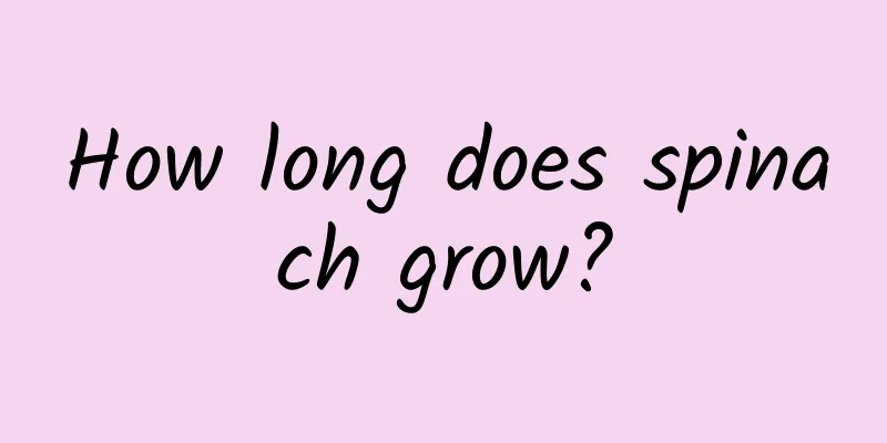 How long does spinach grow?