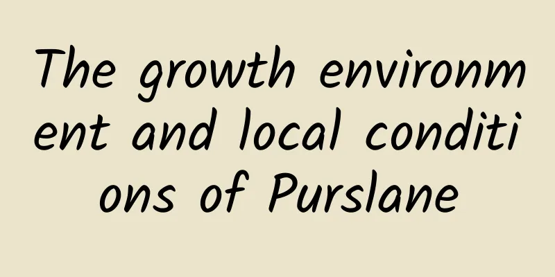 The growth environment and local conditions of Purslane