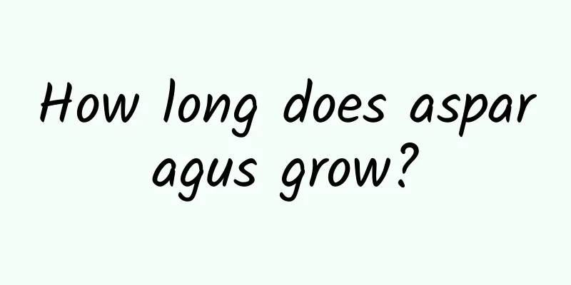 How long does asparagus grow?