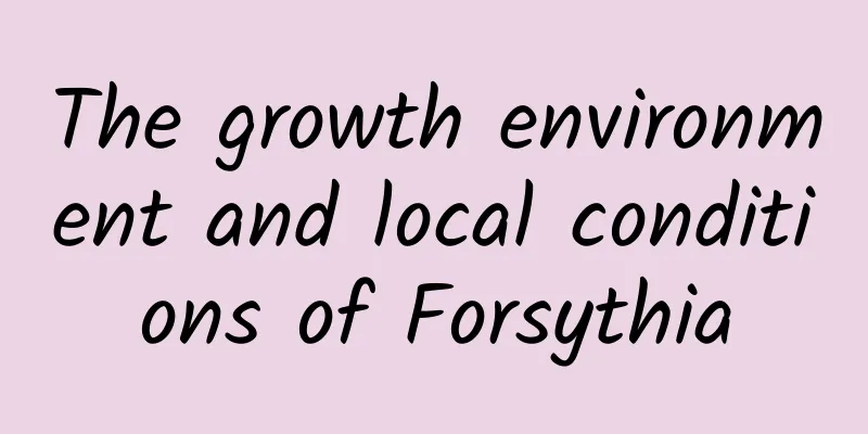 The growth environment and local conditions of Forsythia