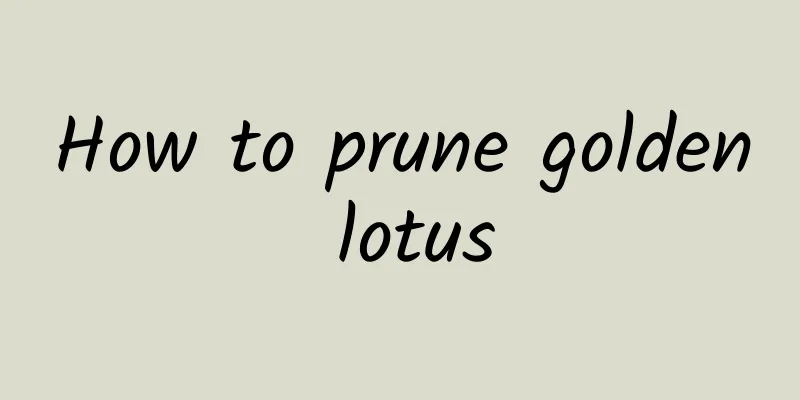 How to prune golden lotus