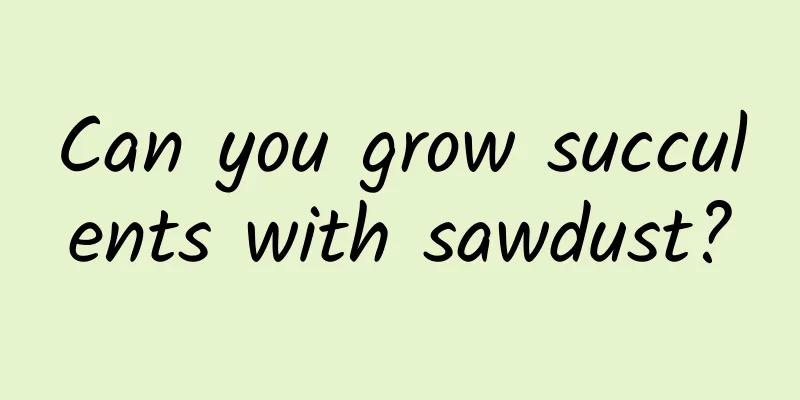 Can you grow succulents with sawdust?