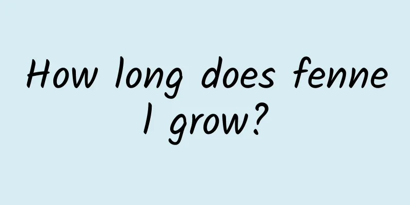 How long does fennel grow?