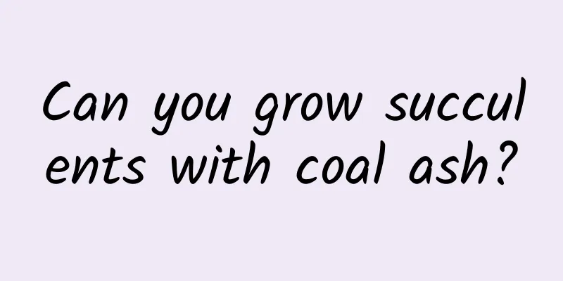 Can you grow succulents with coal ash?