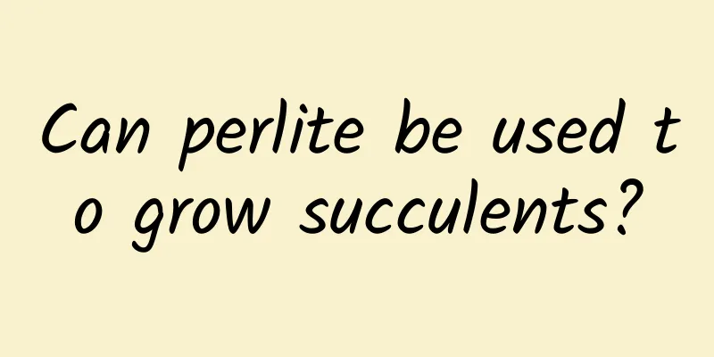 Can perlite be used to grow succulents?