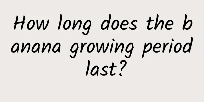 How long does the banana growing period last?