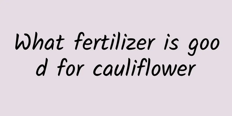 What fertilizer is good for cauliflower